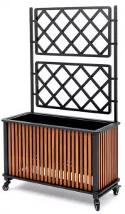 ���������� ����� �� ������ � �������� �� �������-��������