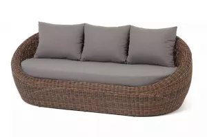    3-    , 