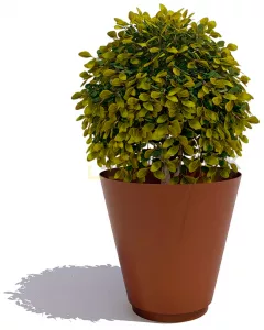 ������ ��� ������ ������� ������������� ��������
