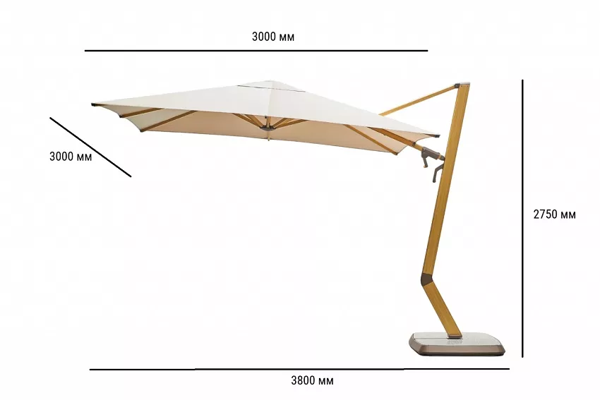 ���������������� ���� �� ����������� ������� ����� 3�3�